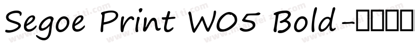Segoe Print W05 Bold字体转换